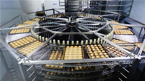 甩開歷史包袱，走好三條路 稻香村集團以技術(shù)開發(fā)引領(lǐng)高質(zhì)量發(fā)展